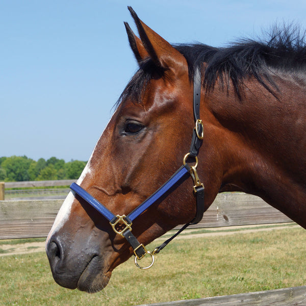 Country Pride 2-Tone Narrow Beta Halter